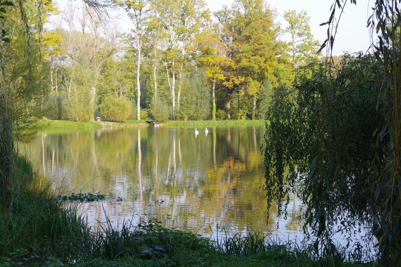 Le Domaine De Prin Bed and Breakfast Serzy-et-Prin Εξωτερικό φωτογραφία